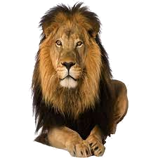 lion.png